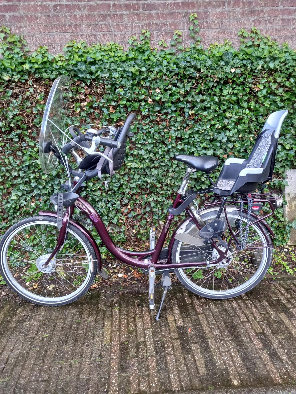 Mooie mamafiets met kinderstoeltjes voor en achter