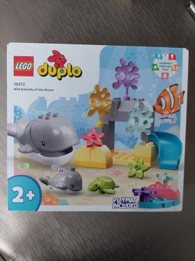 Duplo 10972