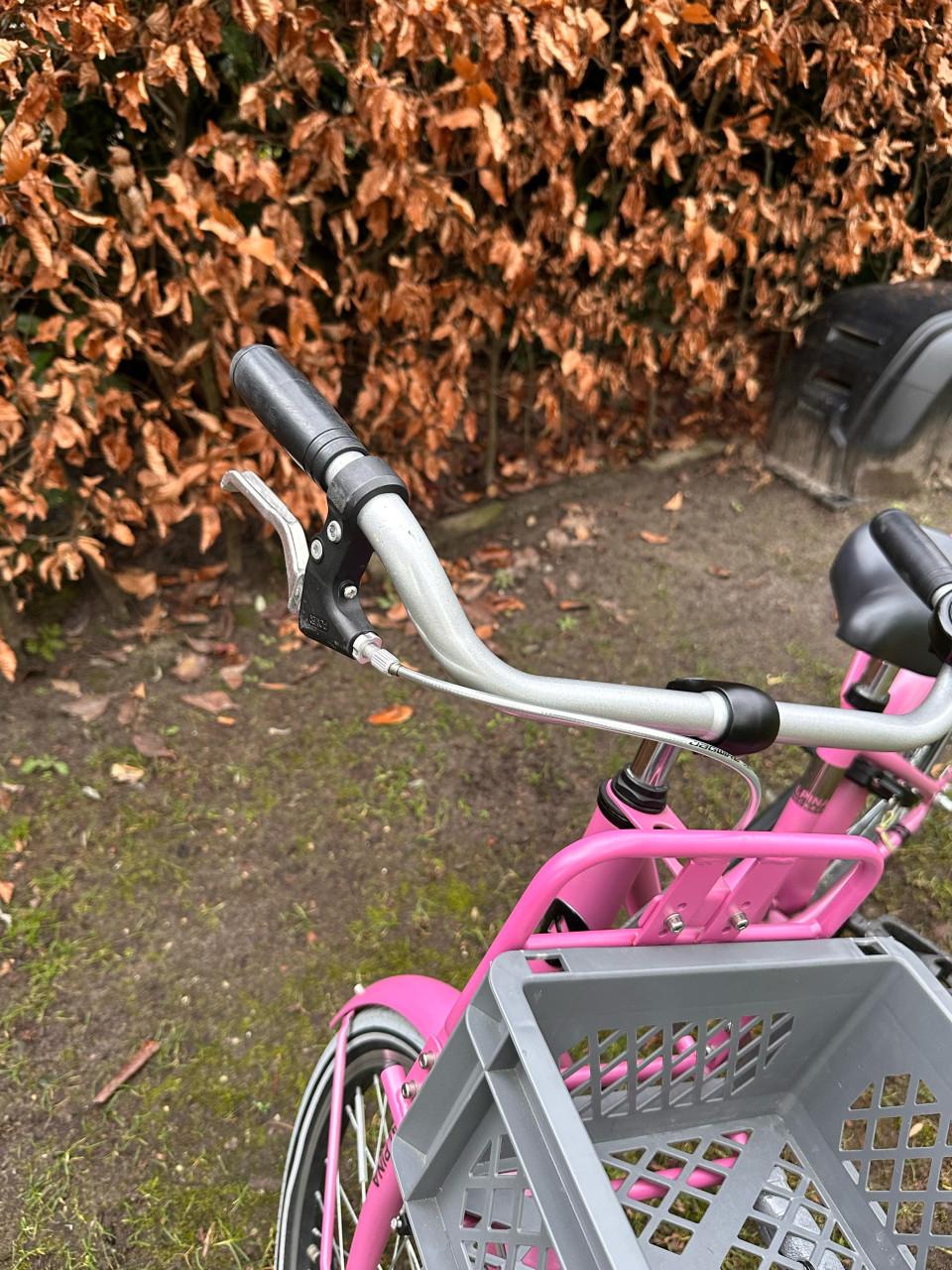 Meisjesfiets - 20 inch - Alpina Cargo Fuchsia Pink Matt