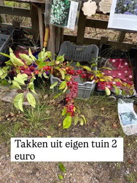 Takken met appels niet eetbaar!