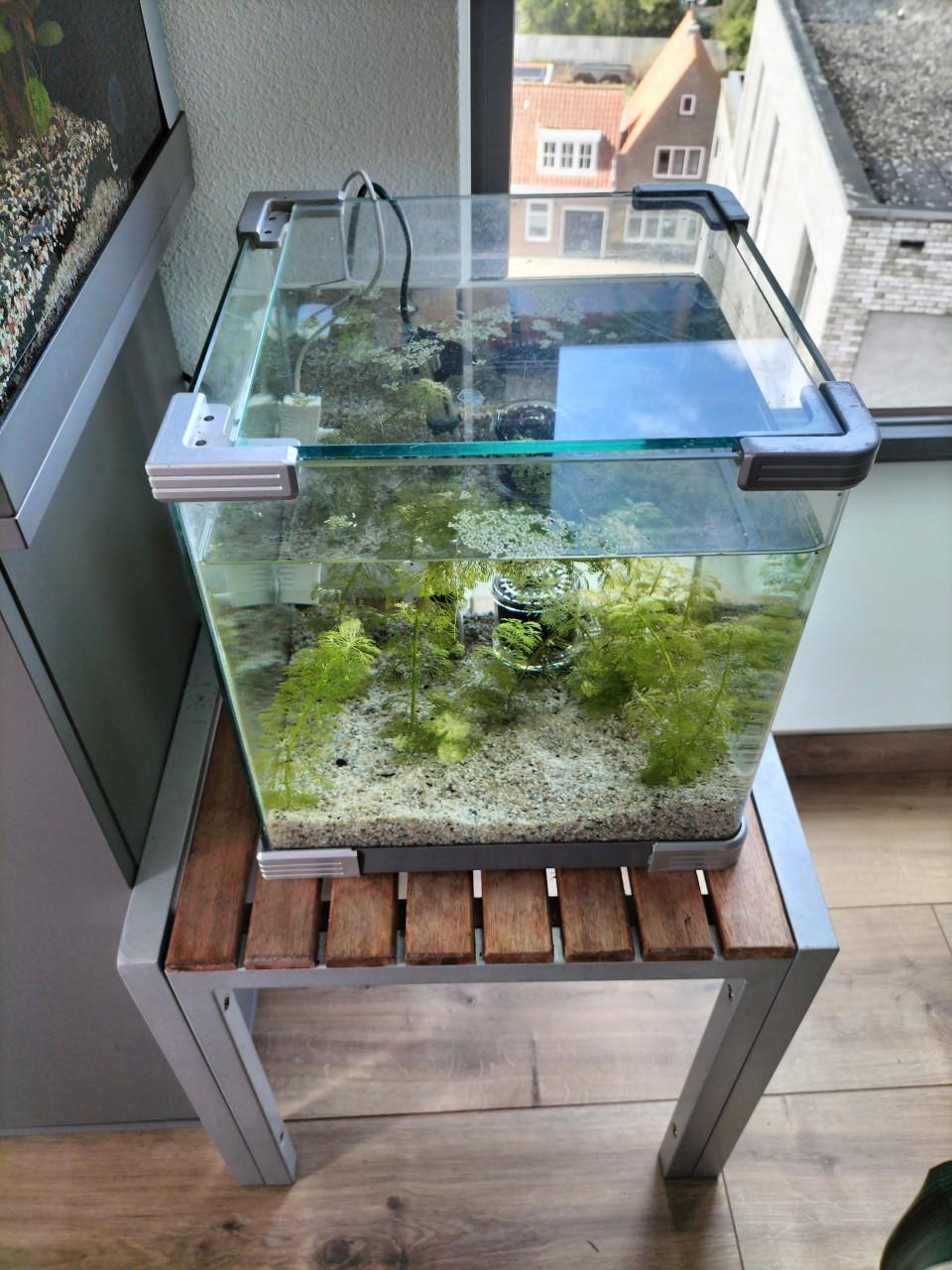 Aquarium