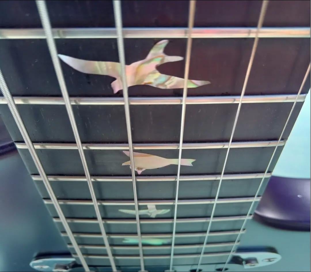 Handgebouwde Zwier Gitaar
