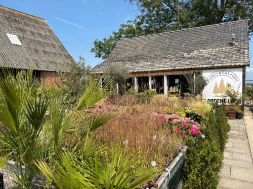30% korting op alle planten, bomen en potten!