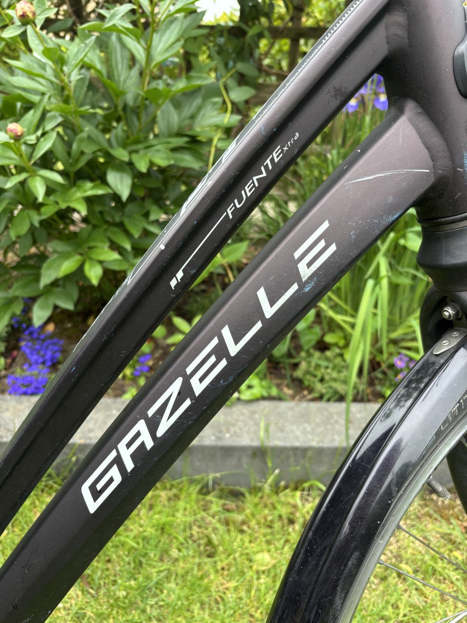 Gazelle Fuente extra dames fiets