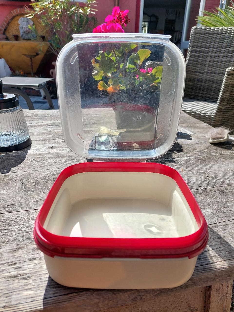 Tupperware koekjestrommel transparant /rood