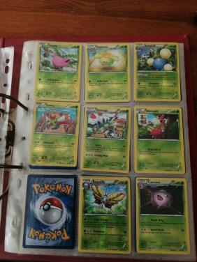 Pokemon : ( bijna ) Complete set Dragons Exalted Reverse +  MEER !!