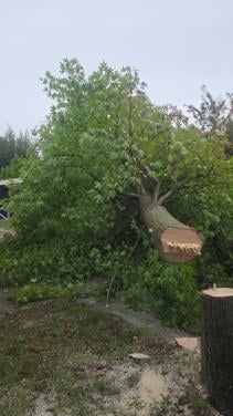 Tuinaanleg & Tuinonderhoud