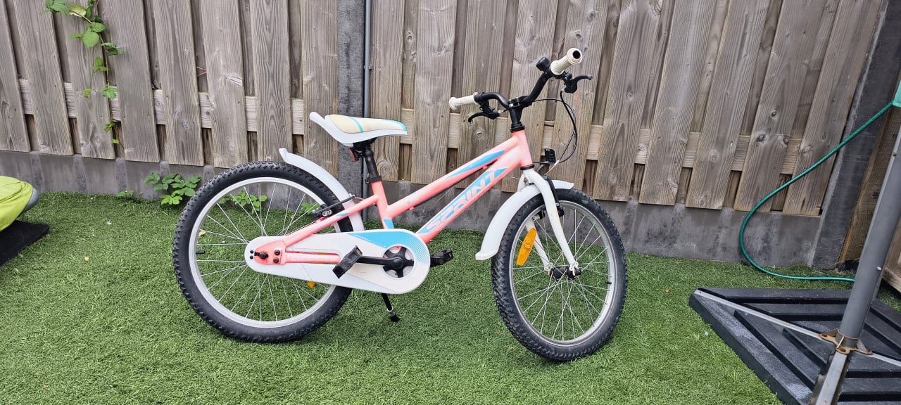 Meisjes fiets 20 inch