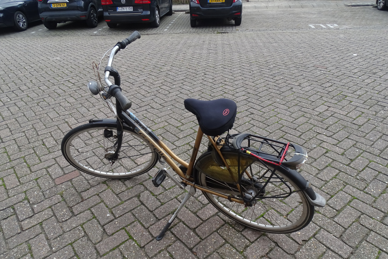 Praktisch nieuwe (Sport-)tandem te koop + Gazelle damesfiets