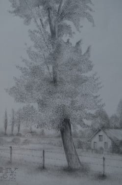10 x Hendrik Voskuijl (1893 - 1980) potloodtek. bomen (3) o.a. Ommen