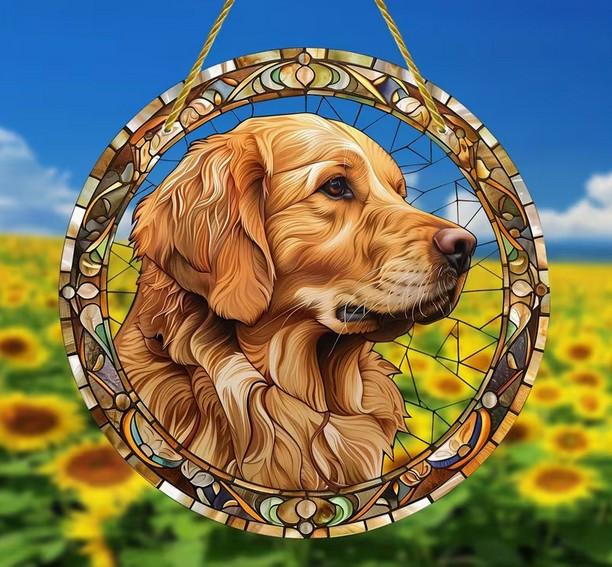 Raamhanger golden retriever