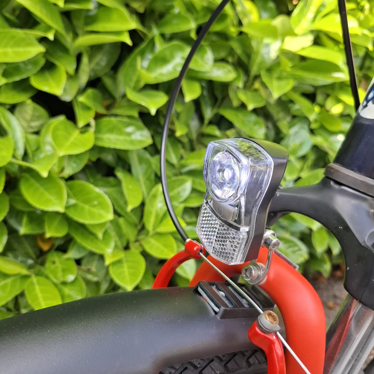 Batavus snake