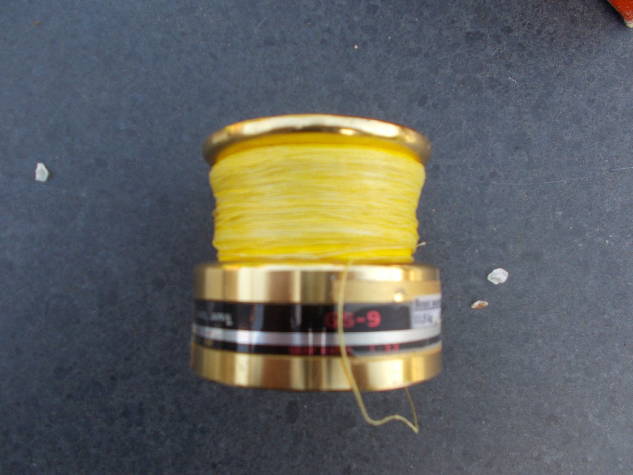 DAIWA GOLD GS9 reservespoel gevuld met gevlochten lijn