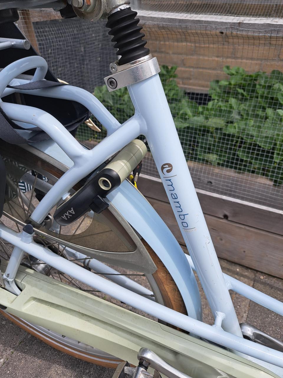 Batavus moederfiets
