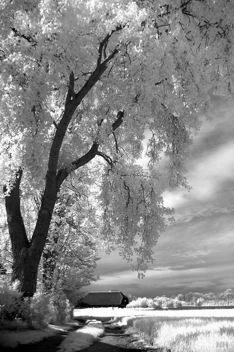 B+W infrarood filters 092 en 093