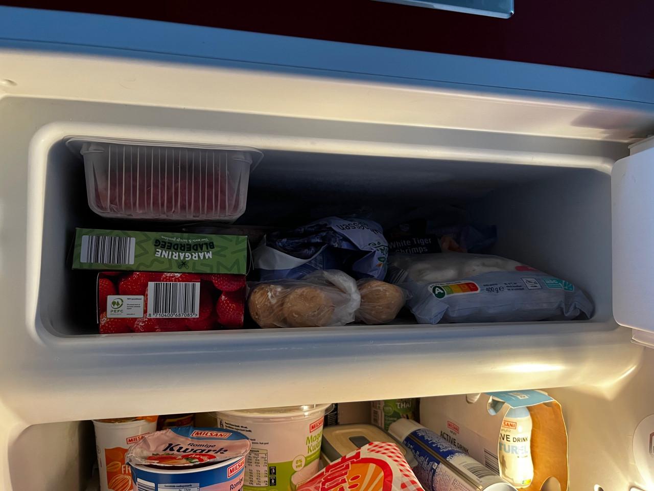 Rode Bosch retro koelkast met vriesvak