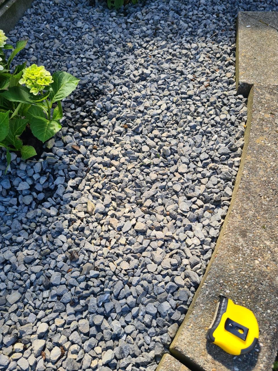 Gratis speciekuip met steentjes/grind