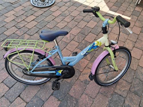 Kinderfiets 20 inch meisjes