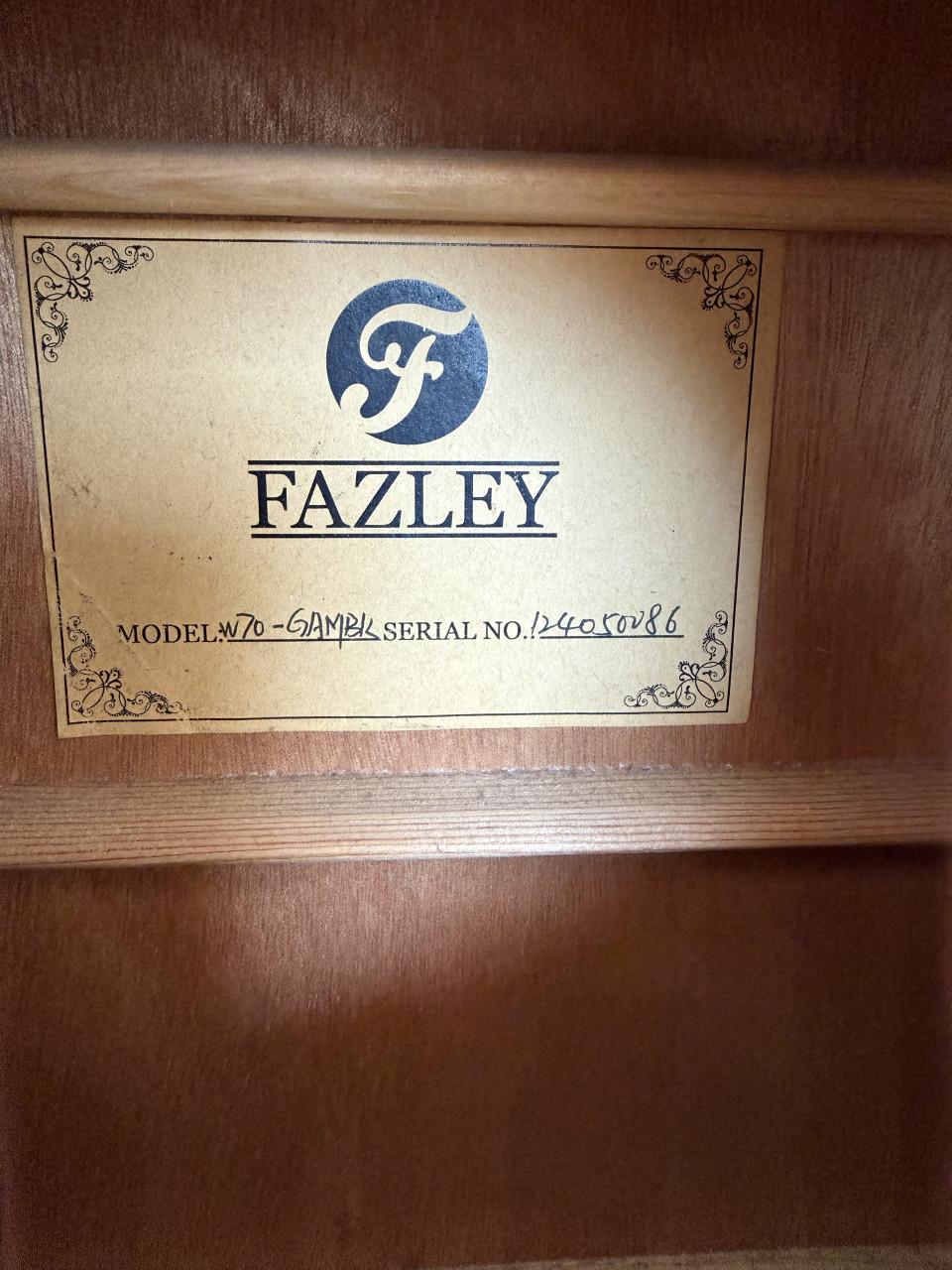 Fazley Akoestische gitaar inclusief standaard