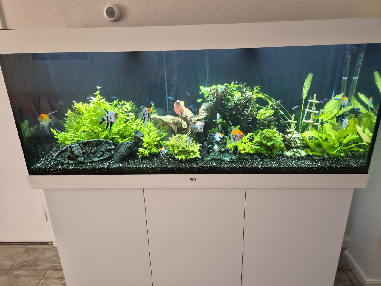 Juwel rio 450