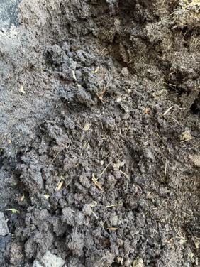 Verteerde paardenmest