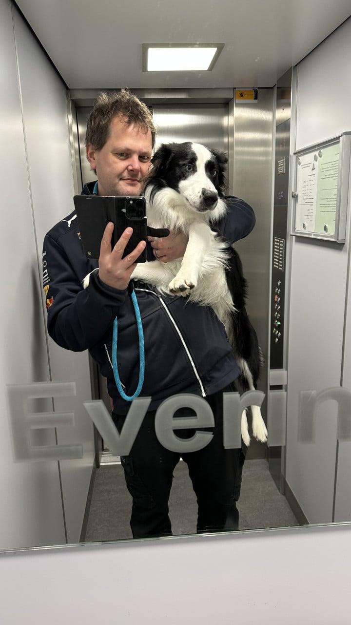 Border-Collie Dekreu beschikbaar.
