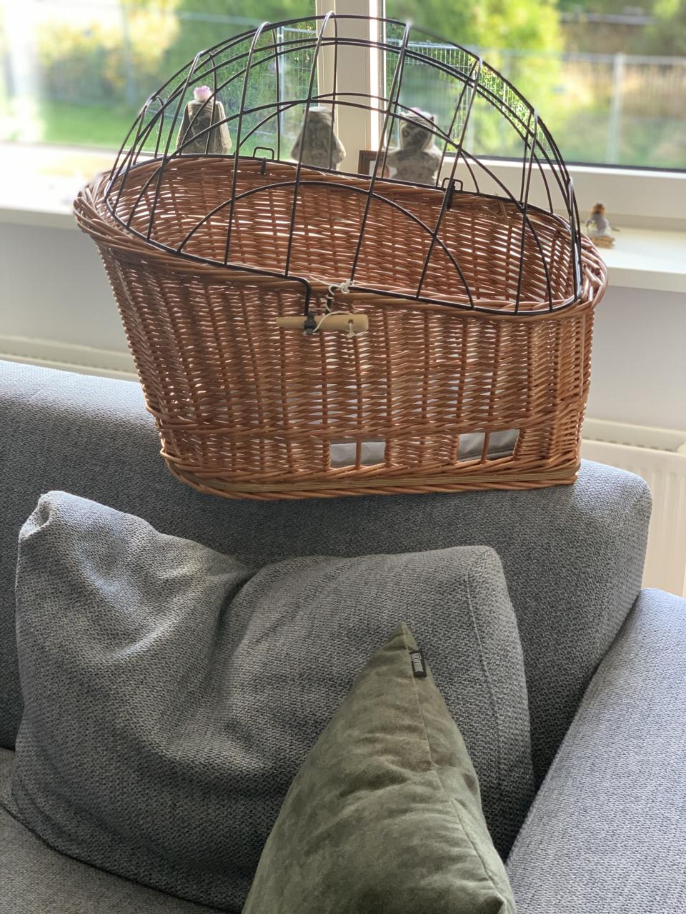 Fiets honden mand bagagedrager