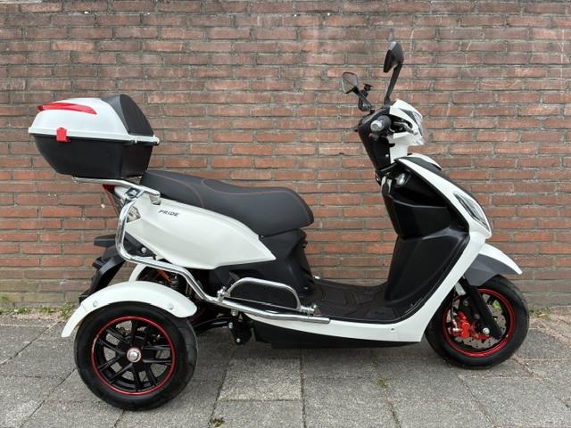GEEN RIJBEWIJS ? NIET NODIG MET DEZE STOERE NIPPONIA PRIDE !