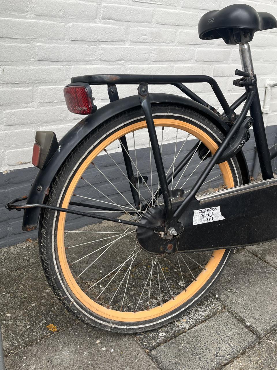 Leuke popal Meiden fiets