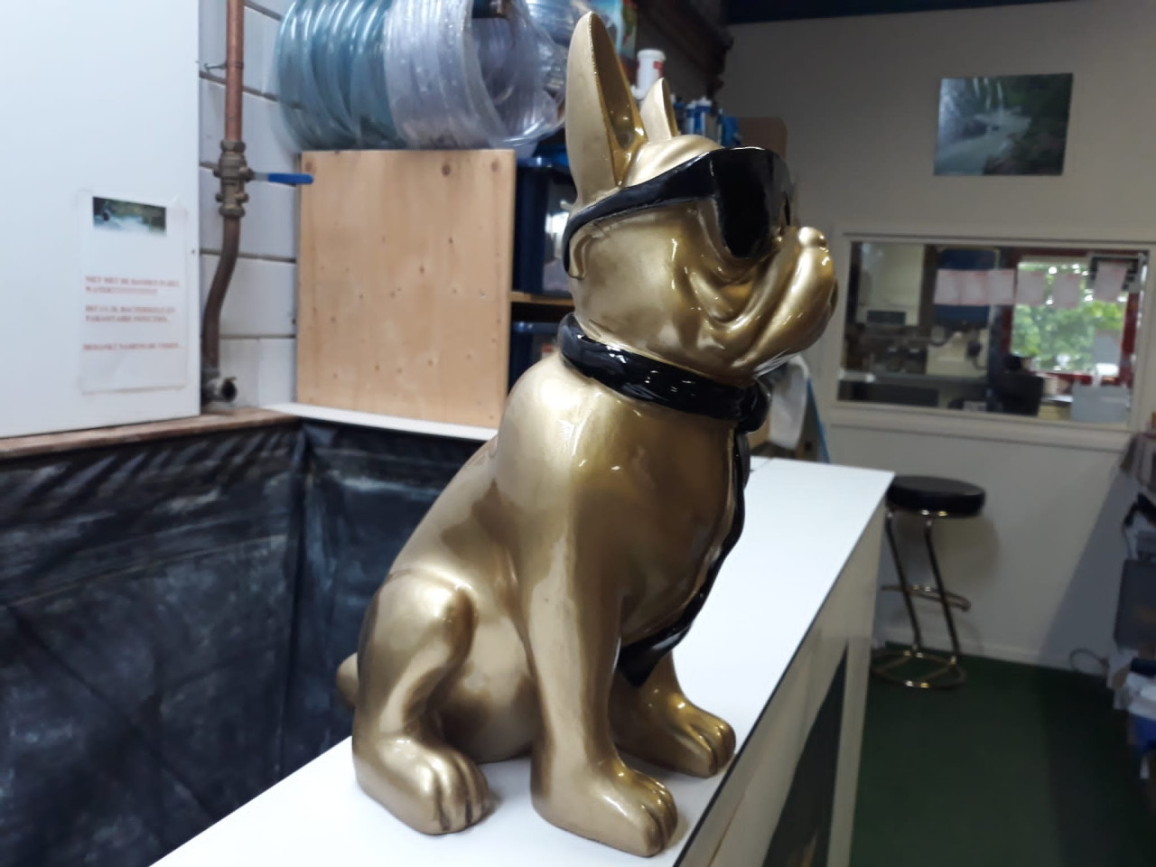 Gouden bulldog met zwarte zonnebril
