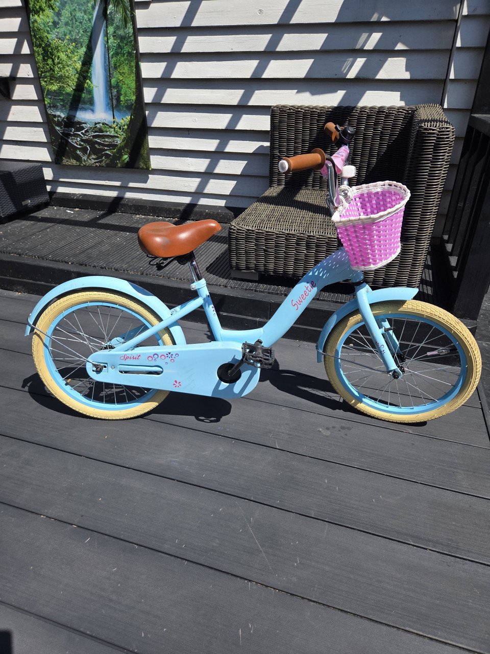 Meisjes fiets 18 inch