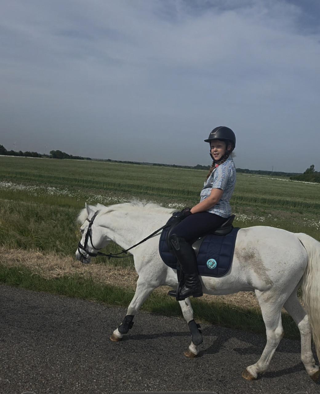 Brave allround kinderpony