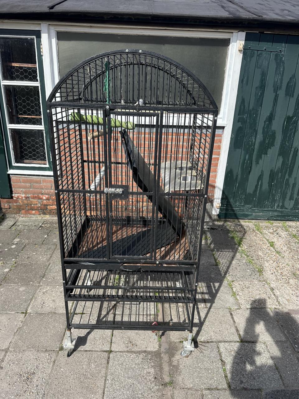 Grote vogelkooi te koop.