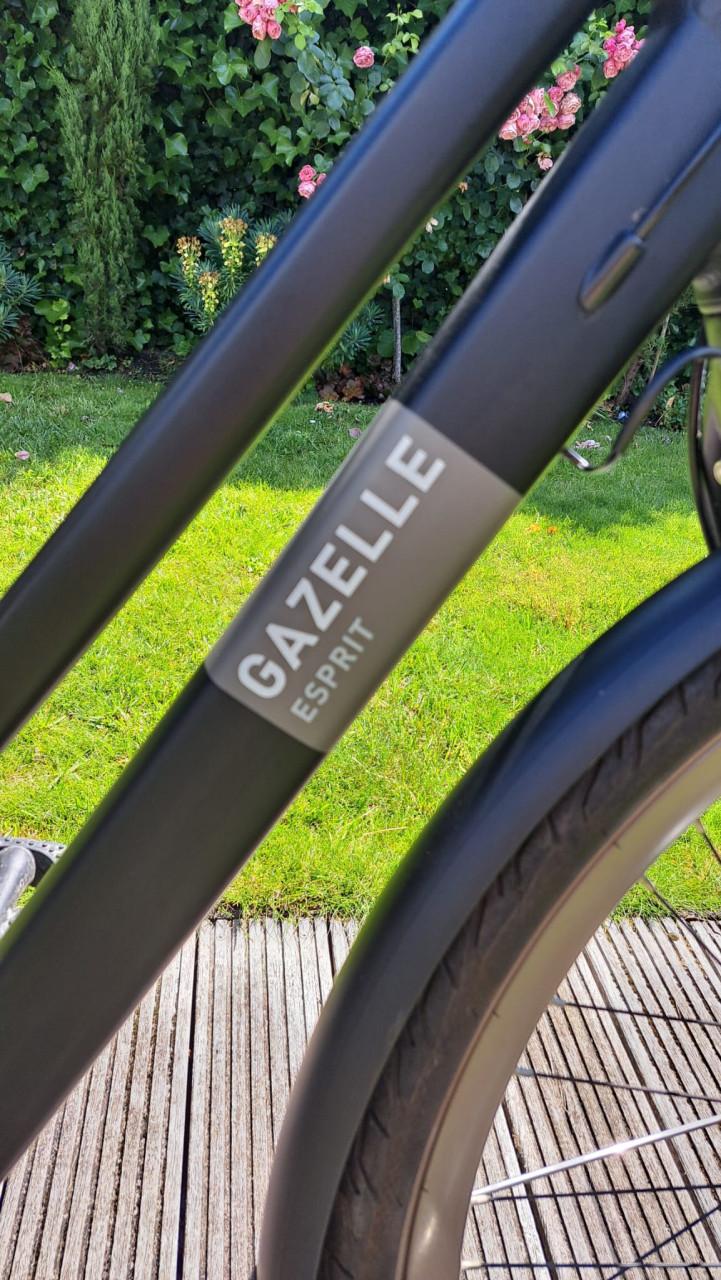 Gazelle Esprit Black mat mt 54