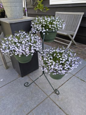 3 delige planten standaard met potten en planten