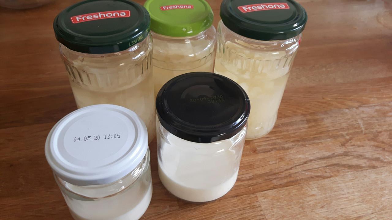 GRATIS: waterkefir of melkkefir, voor een gezonde probiotica drank!