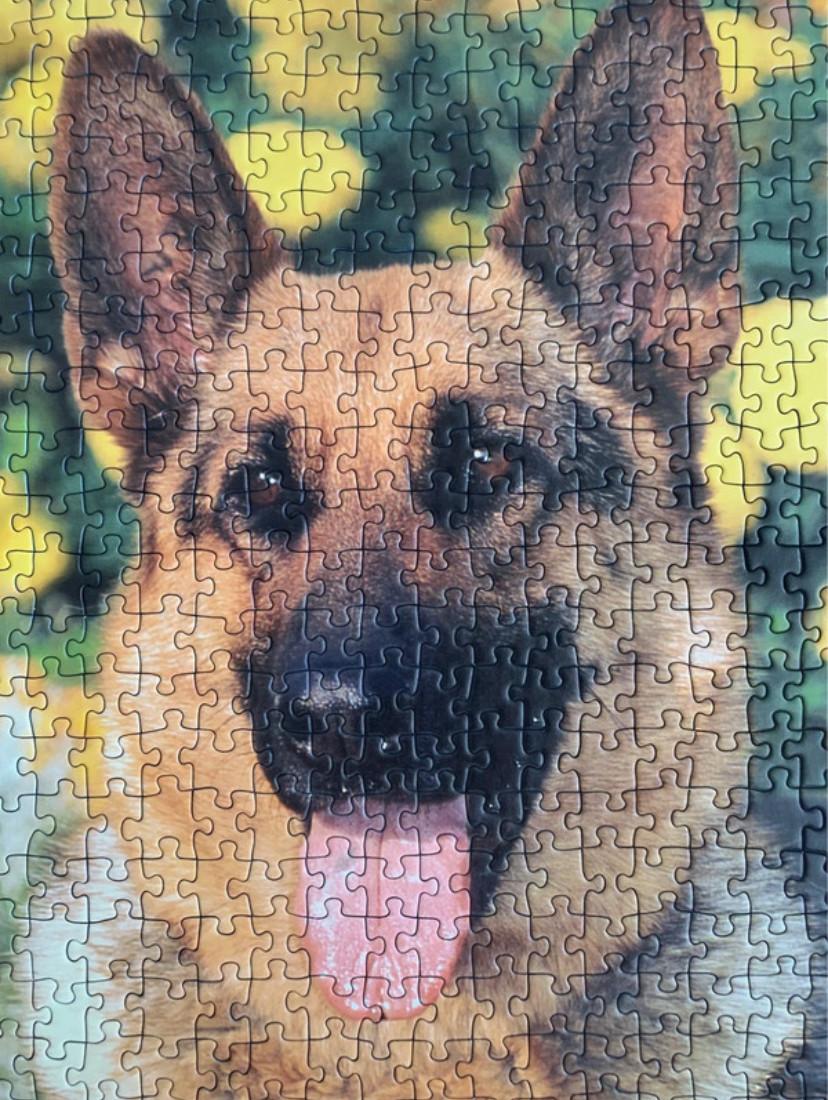 Puzzel 1000 stukjes