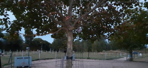Plekje vrij op paddock paradise Oostkapelle