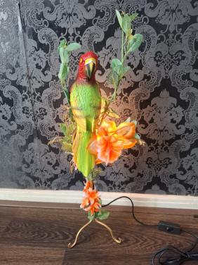 Unieke papgegaai lamp