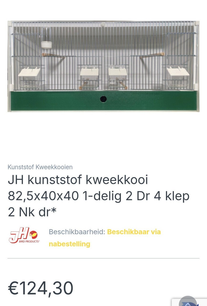 Kweekkooi