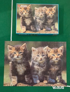Puzzel van 500 stukjes