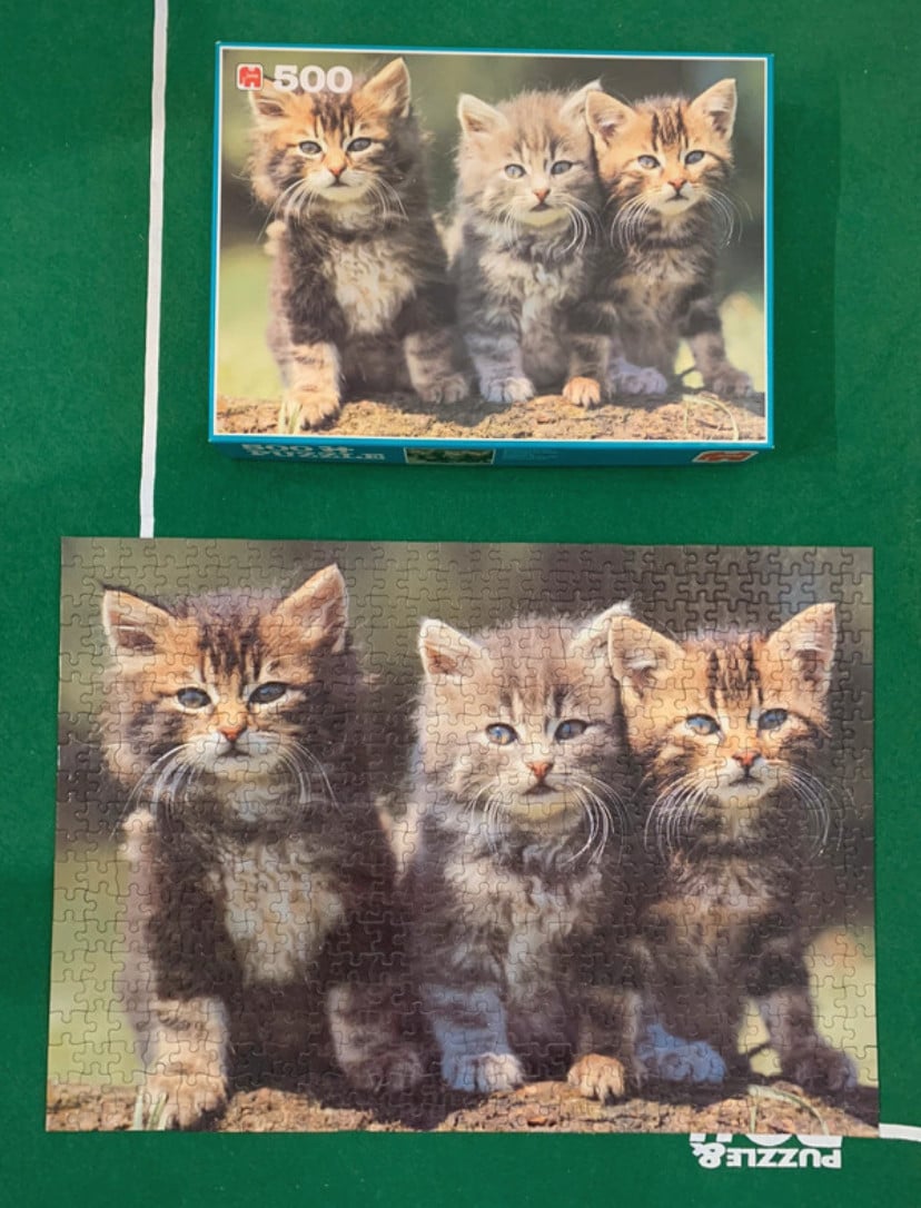 Puzzel van 500 stukjes