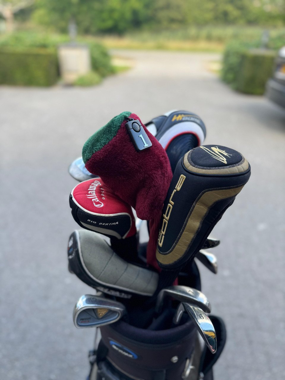 Golfset (dames)