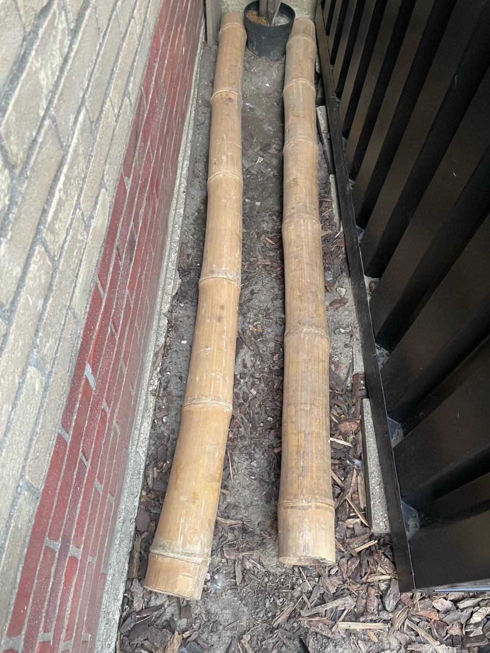 2 bamboepalen van 200 cm lang en 11 cm dik