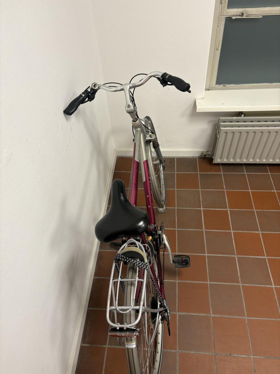 Gazelle gold 24 versnellingen