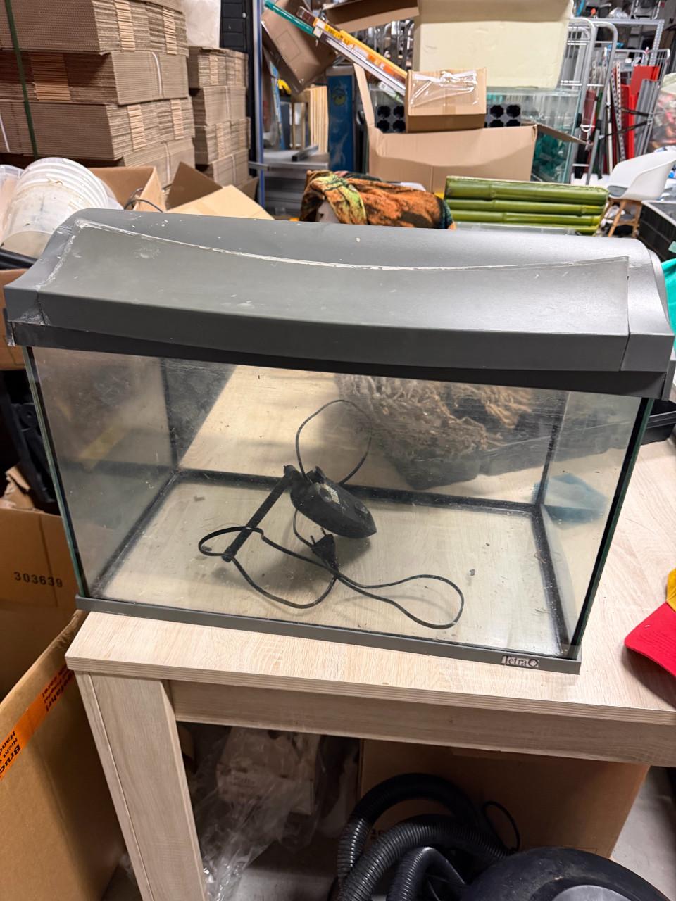 Gratis tetra aquarium