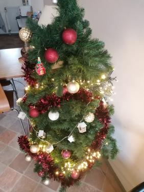 Kerstboom te koop.