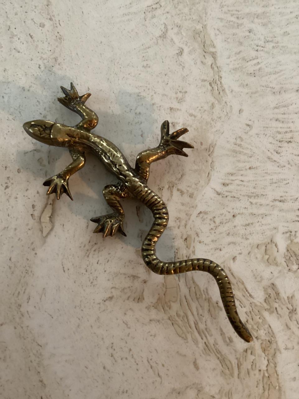 Koperen krokodil en salamander