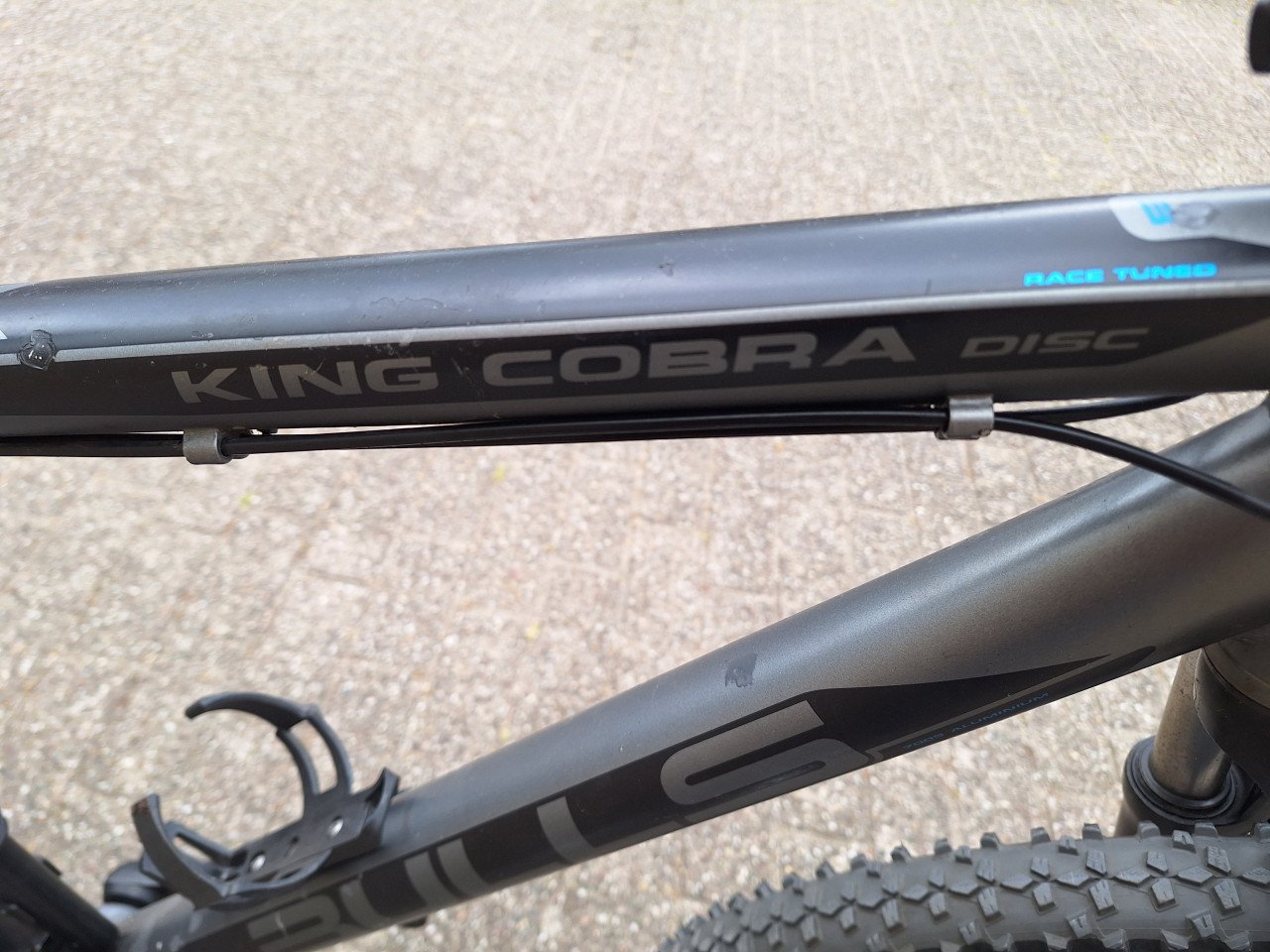 Bulls King Cobra