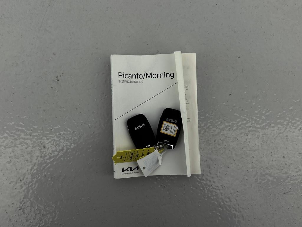 Kia Picanto 1.0 dpi dynamicplusline nap | climatecontrol | btw auto's  vipi